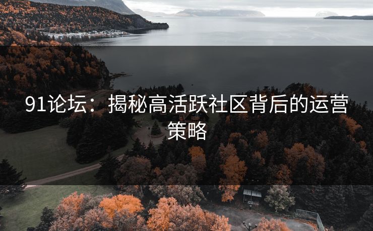91论坛：揭秘高活跃社区背后的运营策略