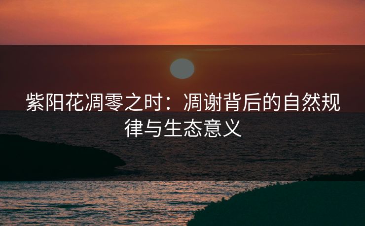 紫阳花凋零之时：凋谢背后的自然规律与生态意义