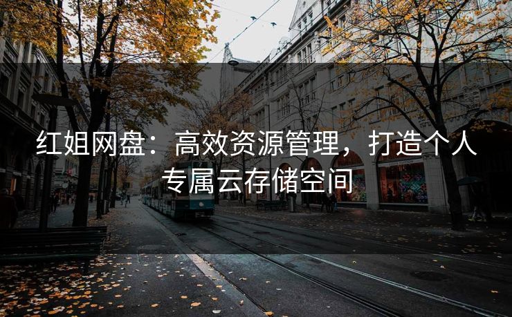 红姐网盘：高效资源管理，打造个人专属云存储空间